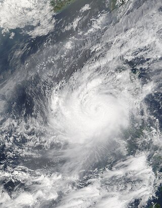 <span class="mw-page-title-main">Tropical Storm Halong (2008)</span> Pacific severe tropical storm in 2008