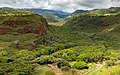 * Nomination Hanapepe Valley on Kauaʻi --Frank Schulenburg 20:32, 3 June 2018 (UTC) * Promotion  Support Good quality. (f/18 seems unnecessary, you lose sharpness to diffraction and the DoF is probably the same/infinity regardless of aperture. Plenty sharp still) --Trougnouf 18:50, 6 June 2018 (UTC)