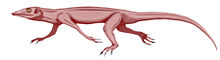 Heleosaurus.jpg