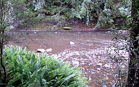 Hellyer River Hellyer Gorge.JPG