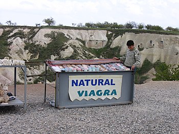 This young entrepreneur was selling at the tou...