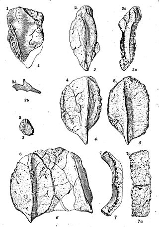 <i>Hierosaurus</i> Extinct genus of reptiles