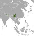 Pasmo ryjówki himalajskiej