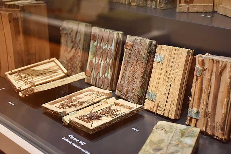 File:Holzbibliothek Naturmuseum Thurgau.jpg