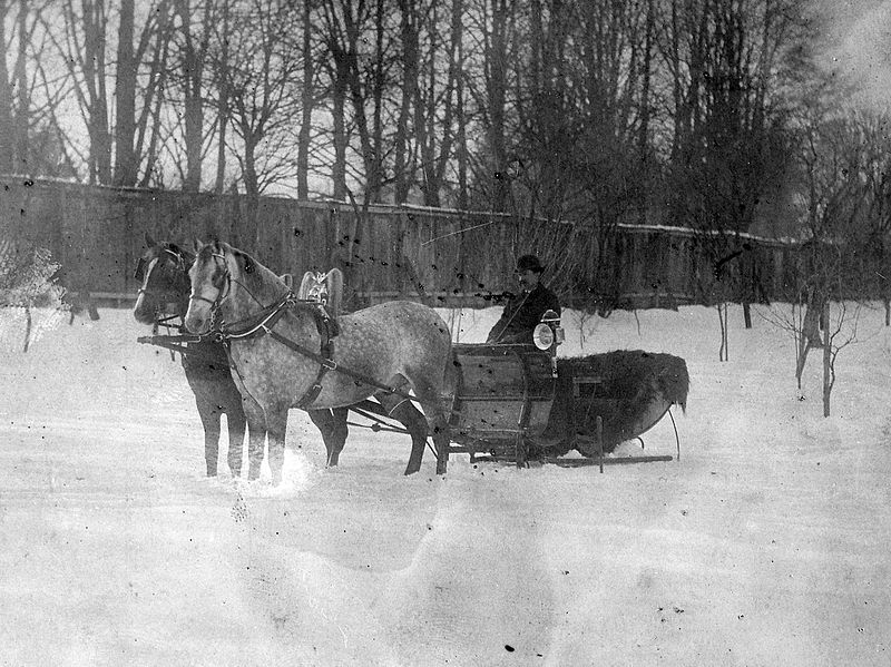 File:Horse, winter, coach, snow, sleigh Fortepan 14342.jpg