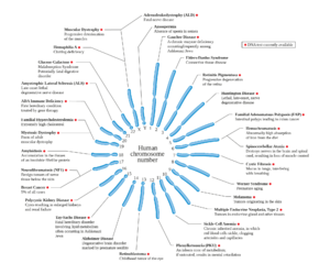 Human chromosome diseases set