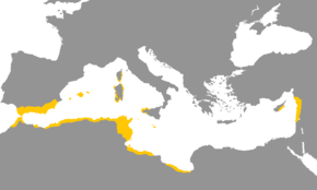 과거 페니키아어 사용 지역