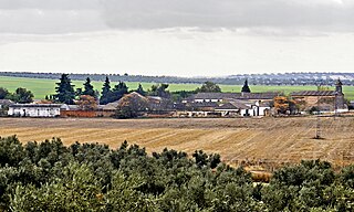 <span class="mw-page-title-main">Illán de Vacas</span> Municipality in Castilla–La Mancha, Spain