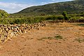 * Nomination Iron age settlement at Pilanesberg National Park --Mike Peel 07:11, 20 October 2022 (UTC) * Decline  Oppose not enough sharp, WB seems to be wrong --Ezarate 17:31, 22 October 2022 (UTC)