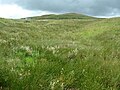 The source of the Irwell at Deerplay Moor