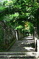 Escalier dans les jardins