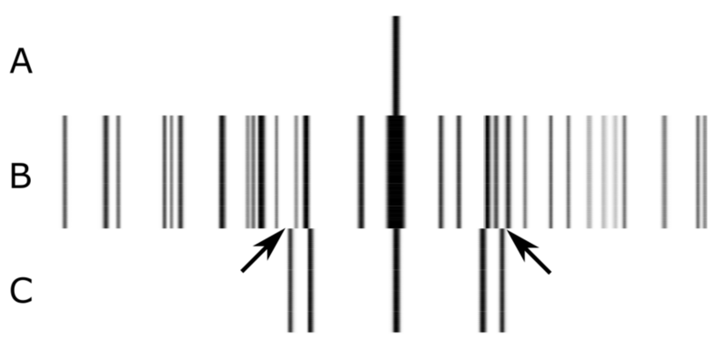 File:Ives Stilwell molecular and atomic spectra.png