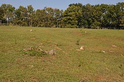 JOHN PEMINUM RUMAH, BUNKER HILL, BERKELEY COUNTY.jpg