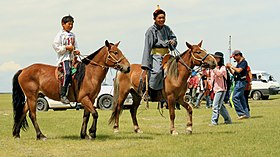 Image illustrative de l’article Cheval en Mongolie