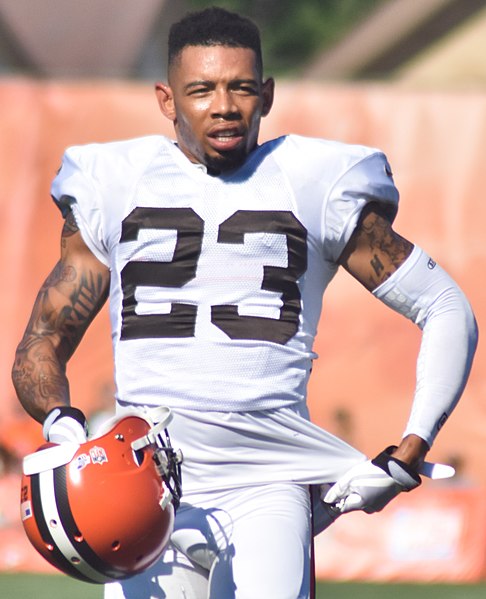 File:Joe Haden 2015.jpg