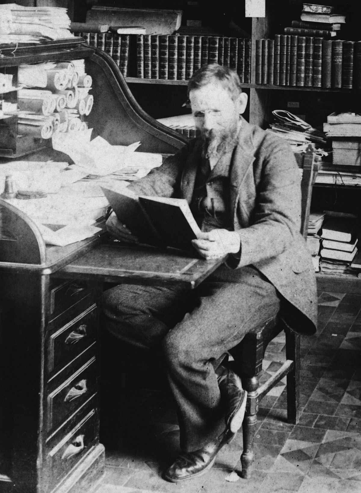 Joel Asaph Allen seated at desk while reading in 1890 detail, full-length portrait, seated at desk, facing left LCCN91710140 (cropped).jpg