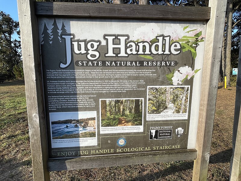File:Jug Handle State Natural Reserve - October 2022 - Sarah Stierch 02.jpg