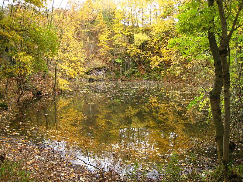 File:Kalksteinbruch im Herbst, Wildenfelser Zwischengebirge.jpg
