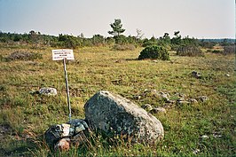 Prehistorische begraafplaats bij Kaugatoma