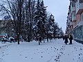 Kherson in the snow - panoramio - 7777777kz (1).jpg