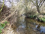 Kingston Brook