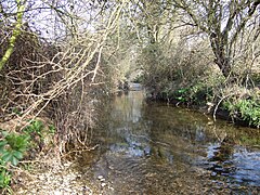 Kingston Brook