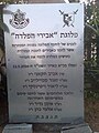 תמונה ממוזערת לגרסה מ־21:38, 18 ביולי 2007