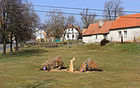 Čeština: Obecní úřad v Kolešově English: Municipal ofice in Kolešov, Czech Republic.