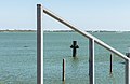 * Nomination Kornwerderzand. Afsluitdijk. Bollards at the harbor. Wadden Center Experience Center De Nieuwe Afsluitdijk. --Agnes Monkelbaan 04:49, 1 August 2019 (UTC) * Promotion  Support Good quality. --Manfred Kuzel 05:08, 1 August 2019 (UTC)