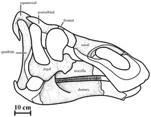 Kundurosaurus.tif