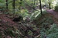 * Nomination: Landscape protection area 00561.01 'LSG innerhalb des Naturparks Spessart (ehemals Schutzzone)', nature park Bayerischer Spessart, Rueckersbach Gorge --KaiBorgeest 21:21, 3 June 2023 (UTC) * * Review needed