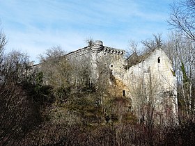 Illustrativt billede af artiklen Château de Jovelle