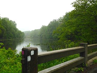 <span class="mw-page-title-main">Blue Brook (Green Brook tributary)</span> Tributary of Green Brook in New Jersey, U.S.