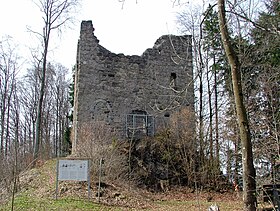 Burg Langenegg makalesinin açıklayıcı görüntüsü