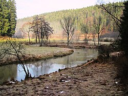 Lauterach Valley.JPG