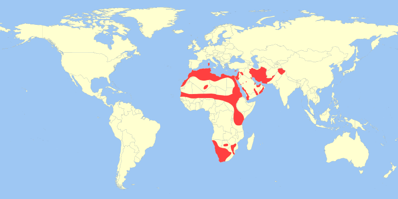 File:Lepus capensis distribution.svg