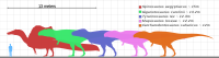 Size comparison of the largest theropods.