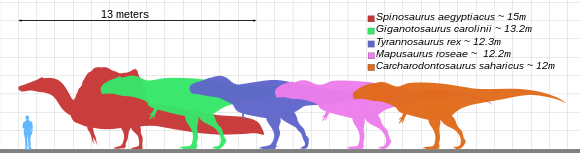 ティラノサウルス Wikiwand