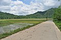 Lubigan Barangay Road - panoramio (4).jpg