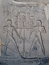 Scène de temple à Louxor, Thèbes. Hâpy attachant le papyrus et les roseaux dans le sema tawy, symbole de l'unification de la Haute et de la Basse-Égypte.