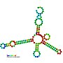 Thumbnail for Moco RNA motif