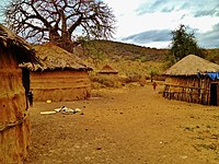 Ngorongoro