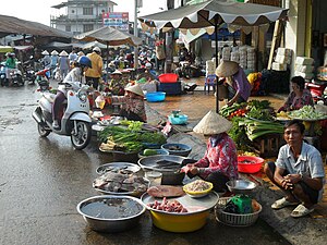 Vietnam: Název, Dějiny, Státní symboly