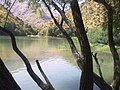 Marmisho lake-دریاچه مارمیشو - panoramio.jpg
