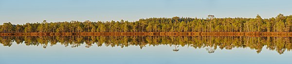 Lake in Estonia