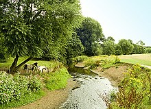 The Micker Brook, running through fields behind the Ramillies estate