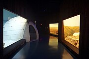 Arctic exhibit