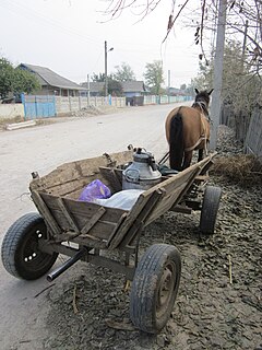 Данку,  Хынчештский район, Молдова