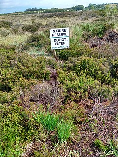 Mongan Bog Peat bog in County Offaly, Ireland