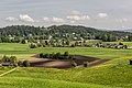 * Nomination Fields and pastures in Hohenfeld and locality Tuderschitz, Moosburg, Carinthia, Austria --Johann Jaritz 02:21, 12 May 2018 (UTC) * Promotion Good Quality -- Sixflashphoto 02:33, 12 May 2018 (UTC)